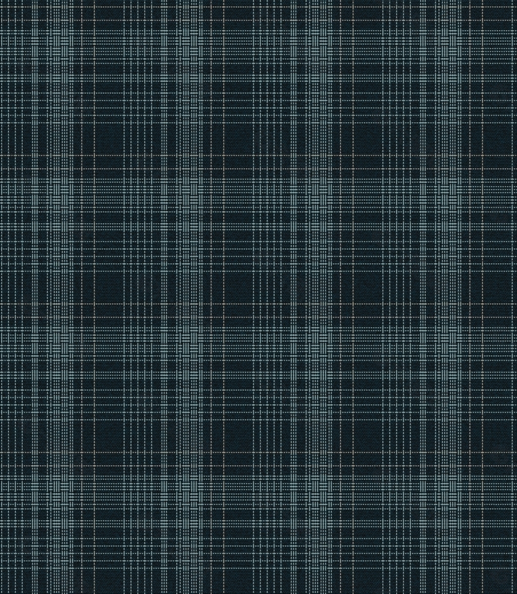 最新版格子日常趣事概覽