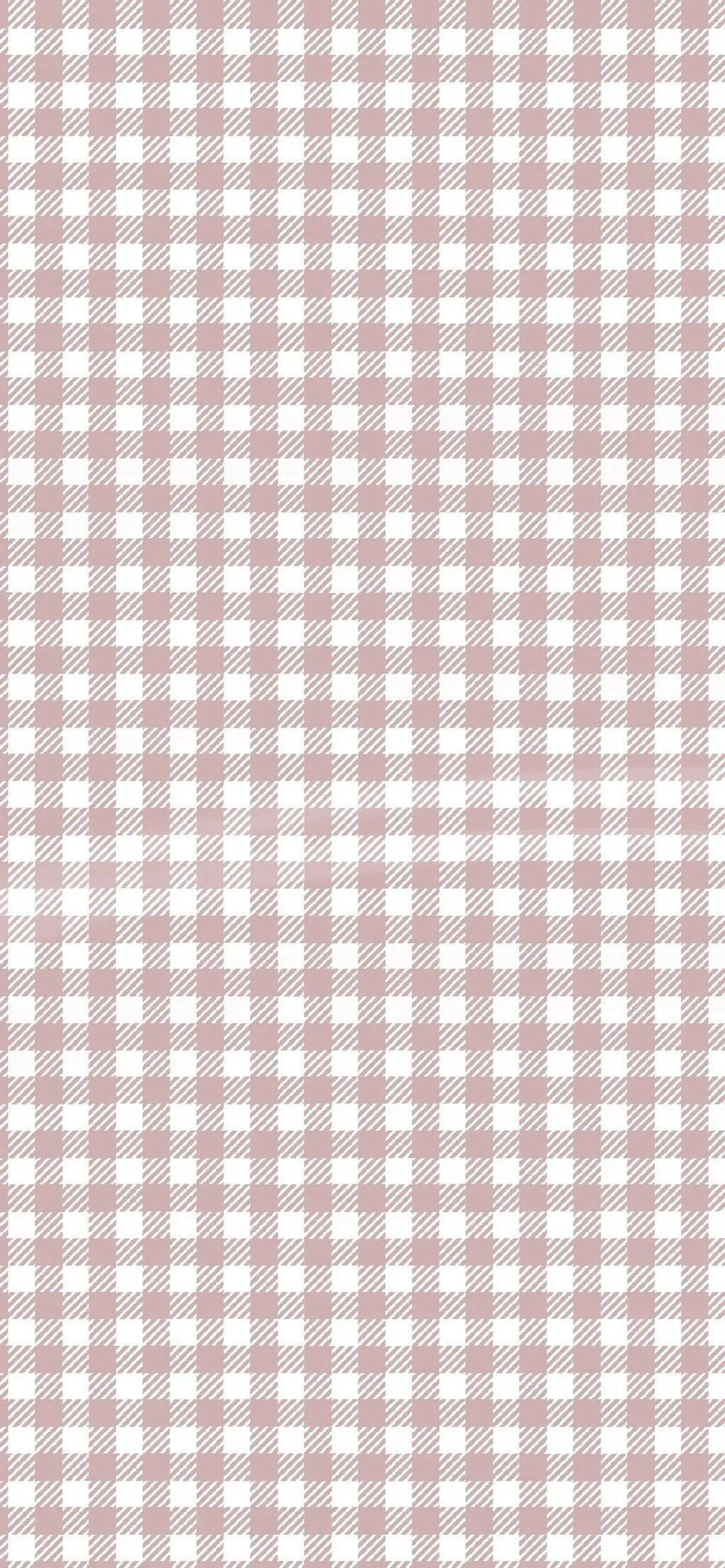 最新版格子日常趣事概覽