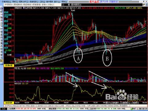 探索自然魔力與股市行情,600114股票與遠離塵囂的旅行揭秘