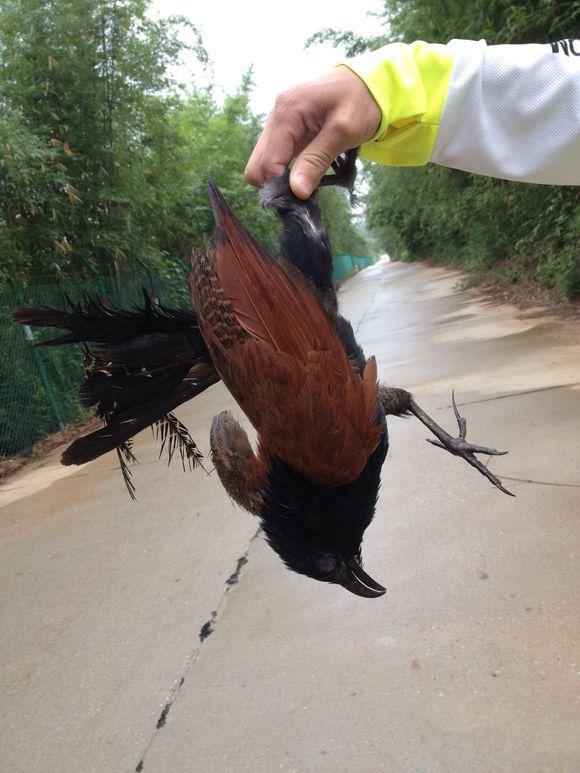 釣魚大比賽,文化與競技的盛宴開啟!