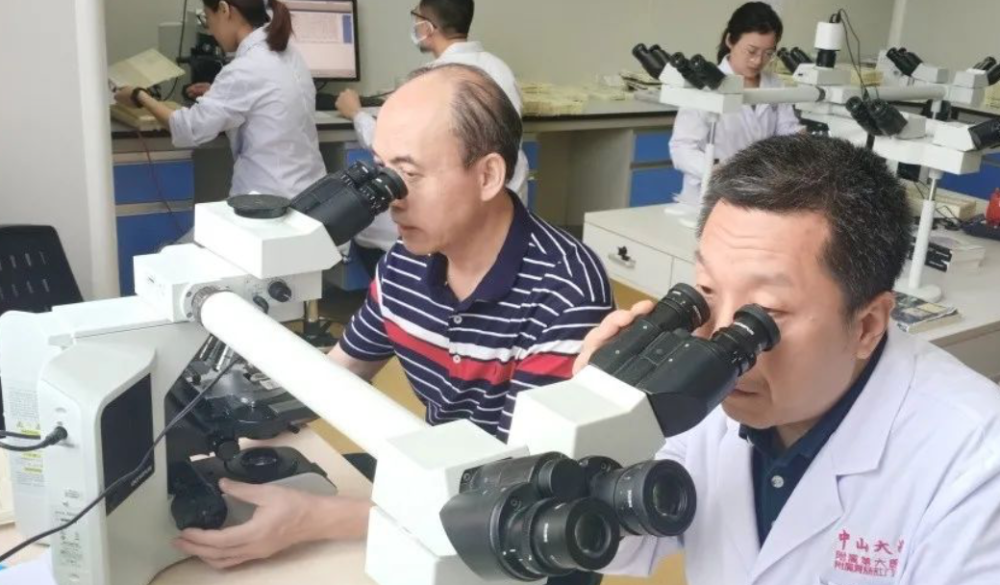 美國腎病治療重大突破,希望之光照亮前行之路