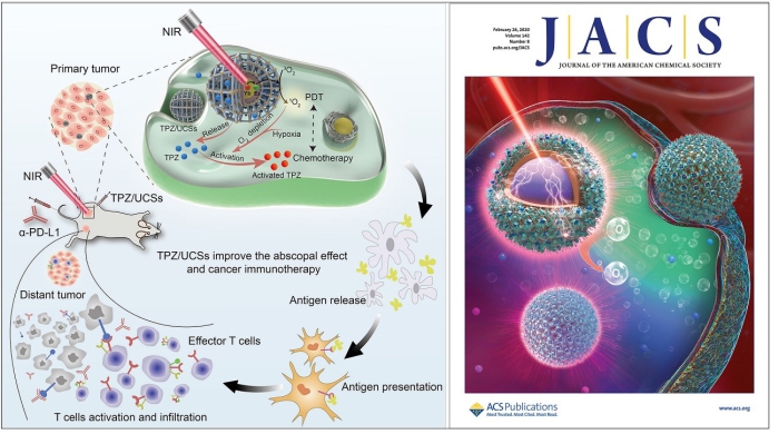 美國腎病治療重大突破,希望之光照亮前行之路