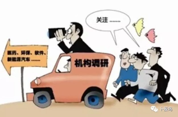 金螳螂上市情況深度分析與個(gè)人觀點(diǎn)探討