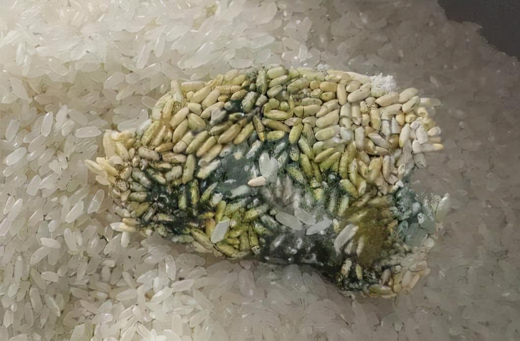 小米2最新資訊,小米2最新資訊