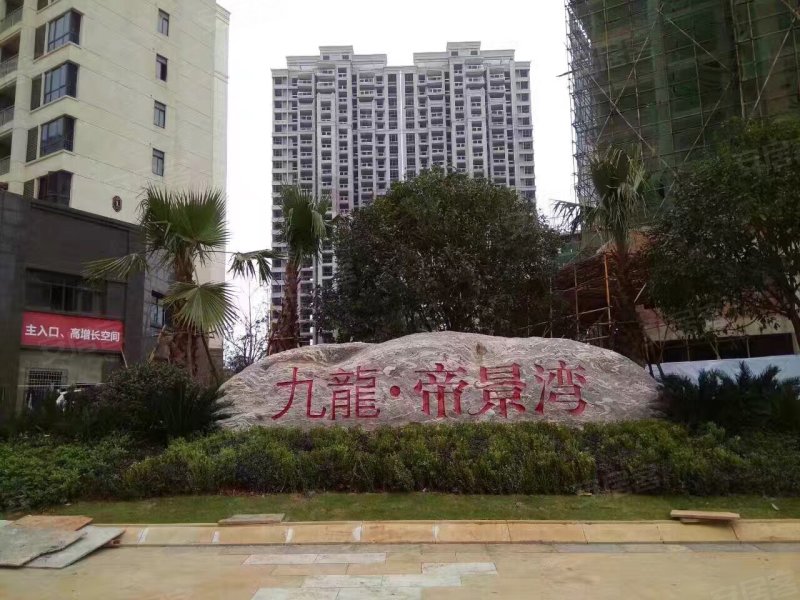 九龍帝景灣最新動態,九龍帝景灣最新動態