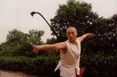 神鞭演員表全解析,角色與演員魅力深度解讀