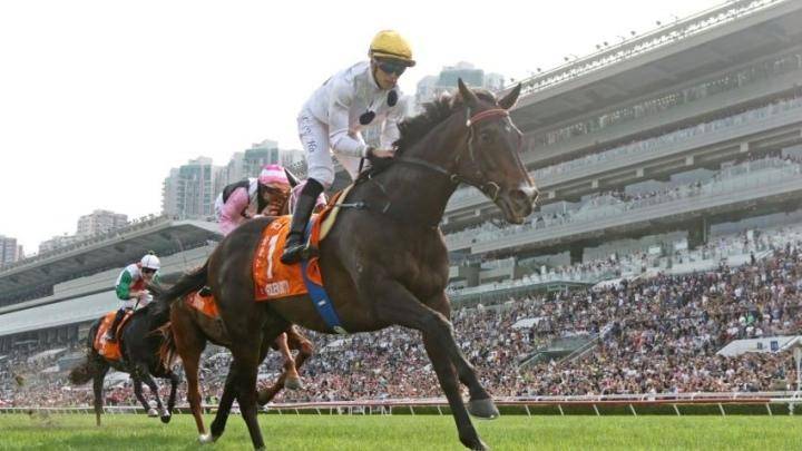 "2024新奧歷史開獎記錄香港"的:執行驗證計劃_限量版1.34