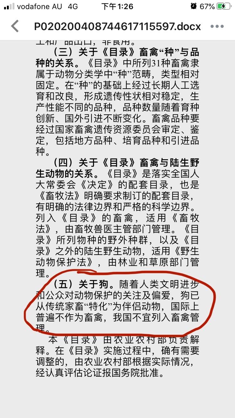 人與犬的非凡情感連接,深度解析狗妻章節(jié)目錄