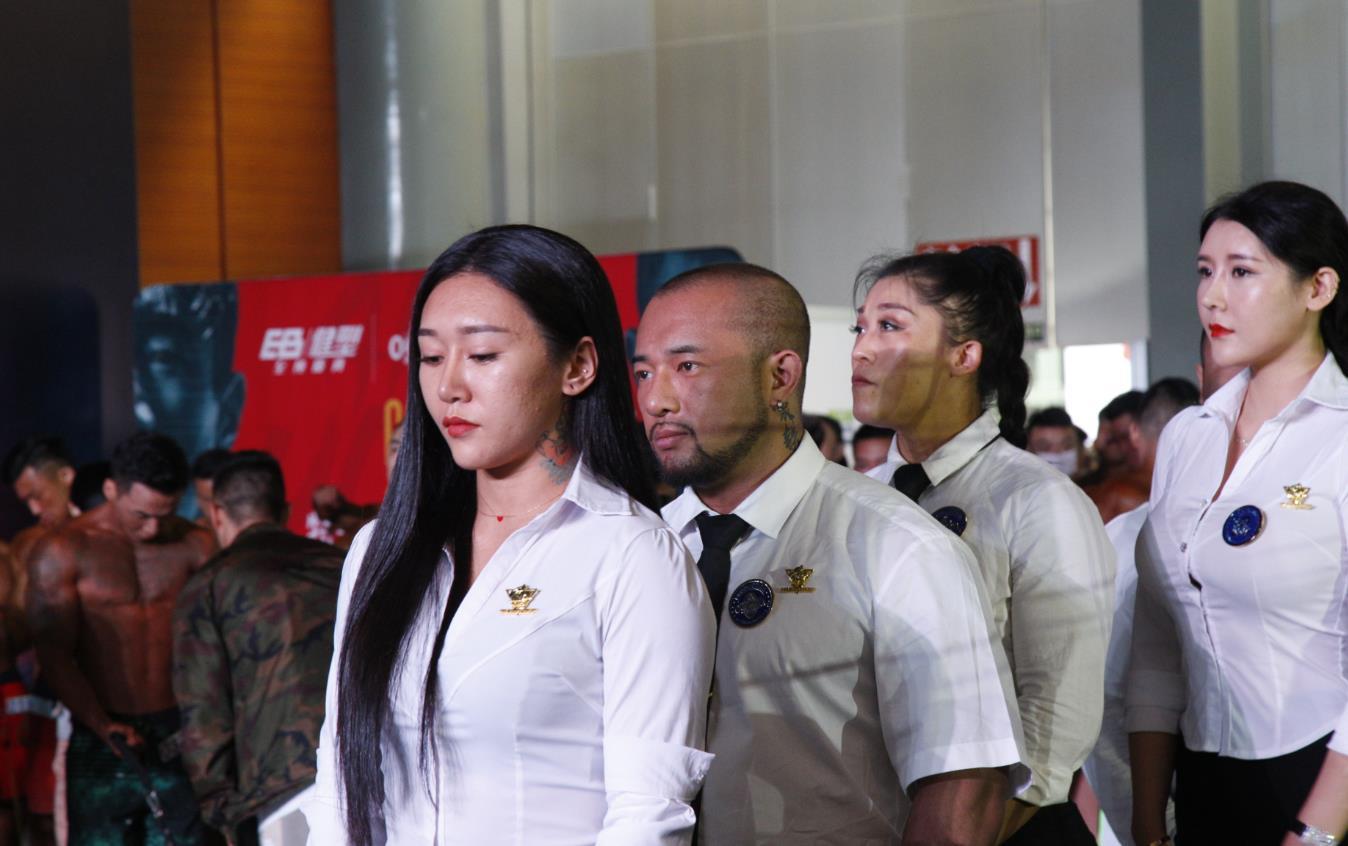 劉太陽比賽全程指南,從初學者到進階用戶的詳細步驟與技巧