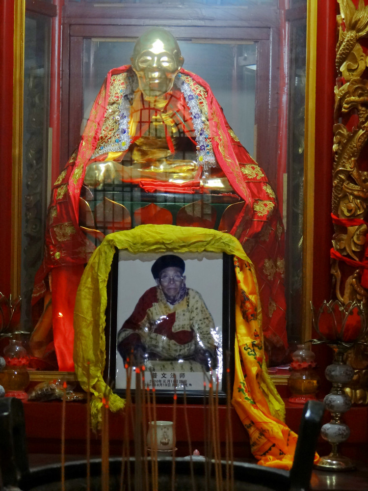 肉身菩薩電影,觀看指南與技能學習步驟全解析