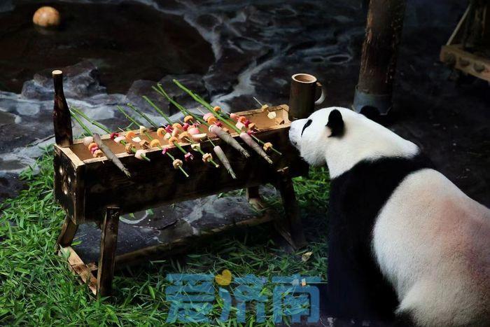 淄博動物園門票價格,平衡公益與盈利的定價策略