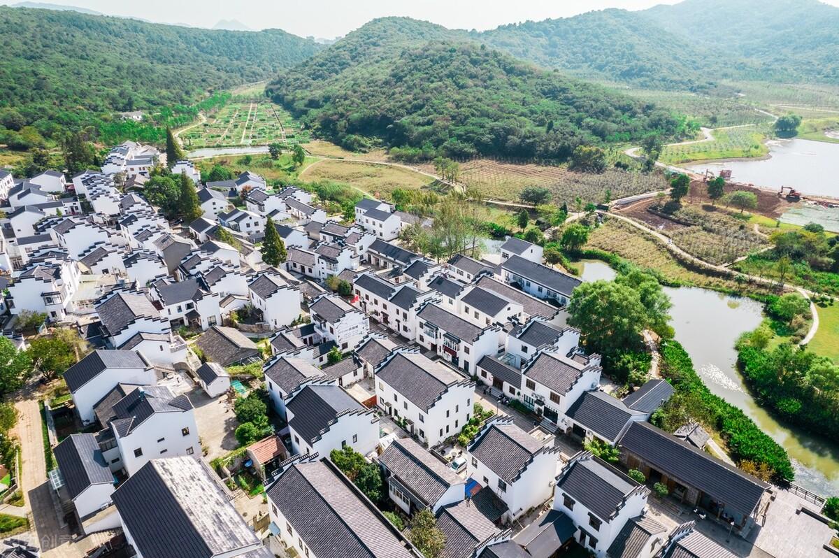 農村老宅基地最新政策解讀,權威解讀與指導手冊