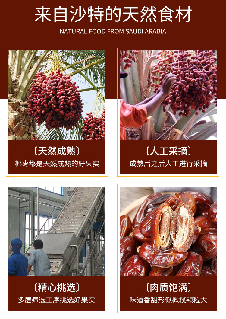 伊拉克椰棗價格揭秘,一顆棗的旅程與成長故事中的溫情陪伴