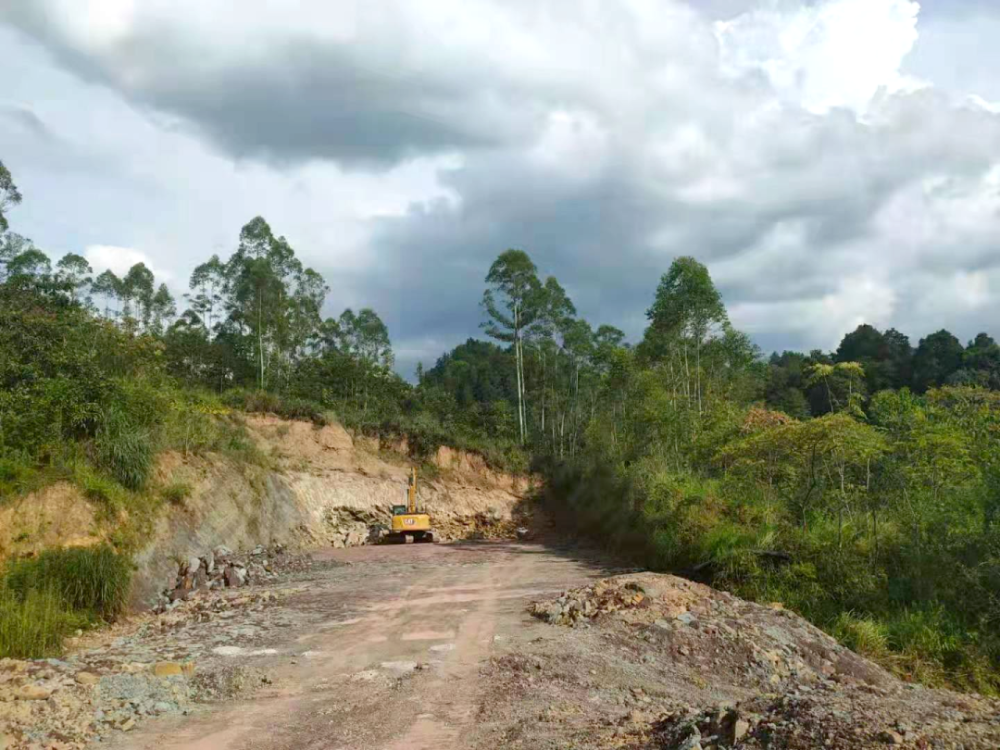 鄰水202省道最新動態,自然美景的詩意旅程探索