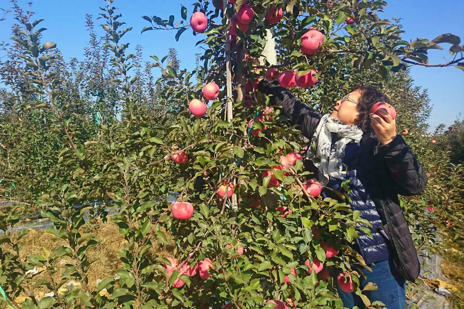新加坡股市行情深度探索,巷弄投資寶藏揭秘