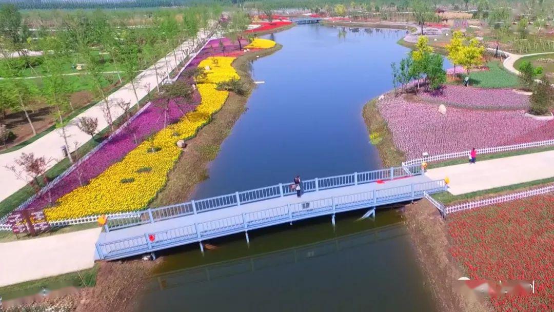 天津市薊州區最新新聞,友情的紐帶與家的溫暖溫馨日常報道