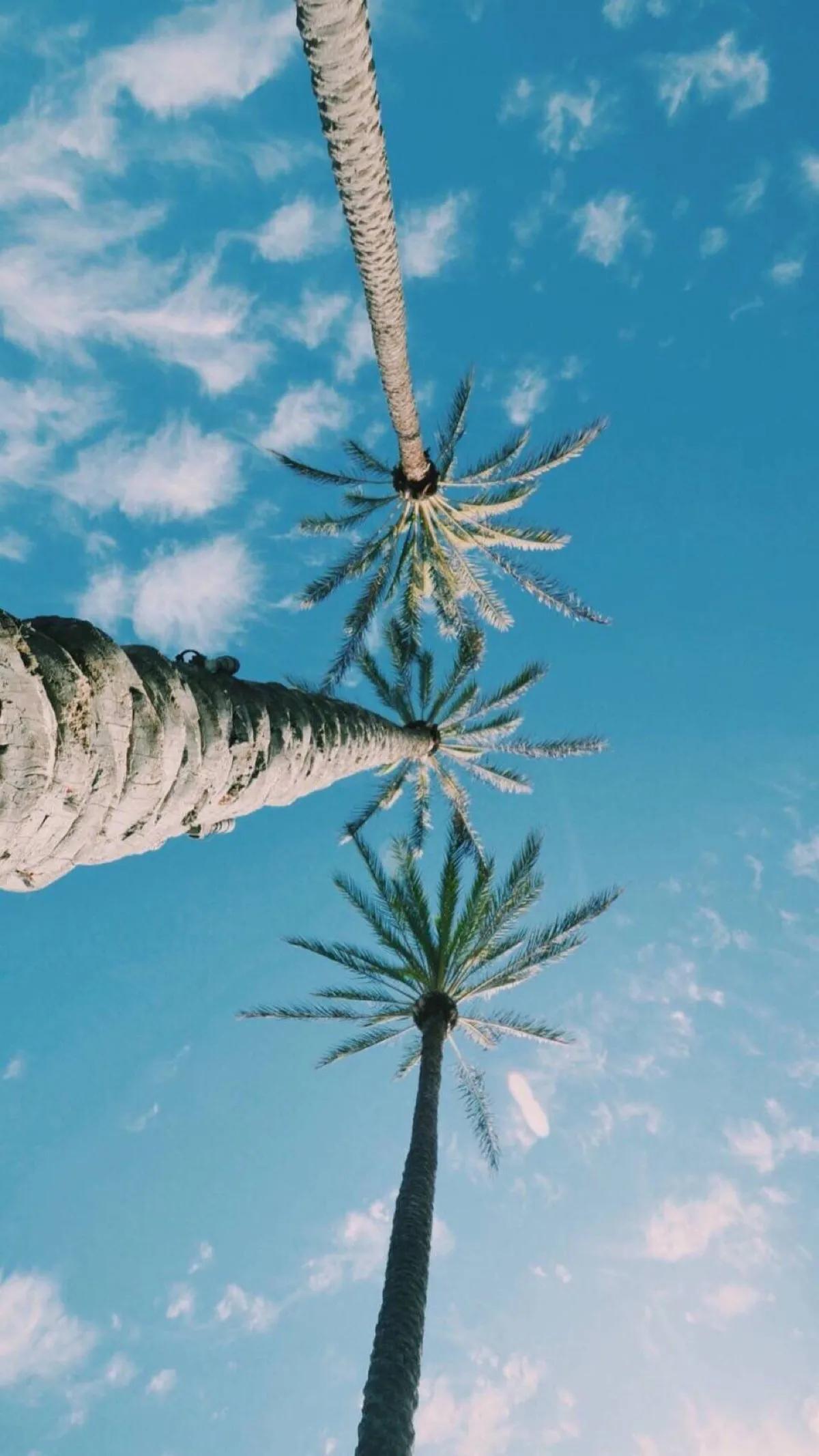 最新手機桌面設計論述,時尚與個性化的完美結合