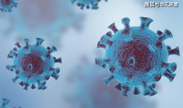 "新澳門最精準正最精準龍門"的:專家解析意見_確認版2.24