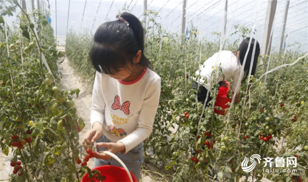 小富農(nóng)動態(tài),高科技產(chǎn)品引領(lǐng)農(nóng)業(yè)新時代,感受前沿科技的力量