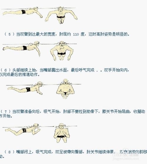 提升蛙泳速度的秘訣,比賽技巧全解析