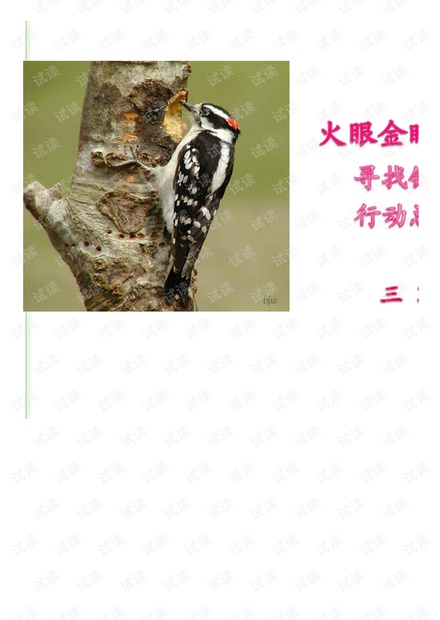 最新啄木鳥資源鏈接,最新啄木鳥資源鏈接,深度探討與科普解讀