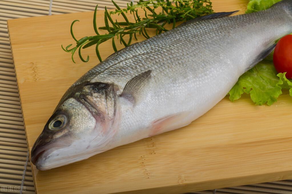 淡水鱸魚批發價格,淡水鱸魚批發價格,市場走勢與選購指南