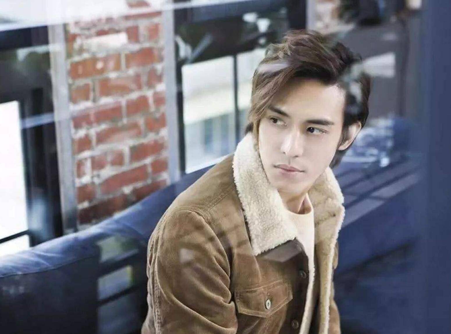 陳楚河演藝之路璀璨之旅,電視劇大全回顧