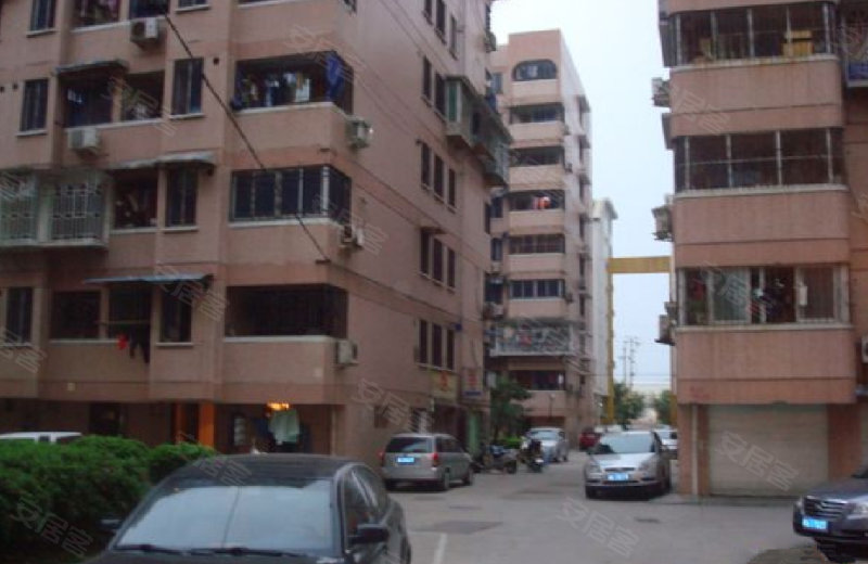 小區茶會最新房價,小區茶會最新房價背后的溫情故事