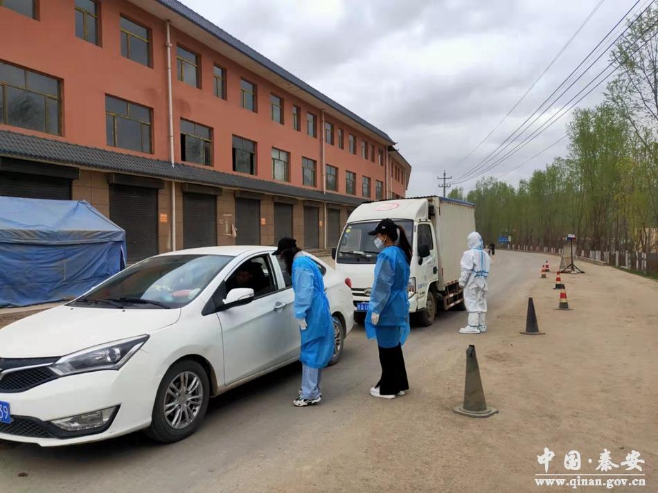 秦安縣蓮花鎮最新進展與動態更新