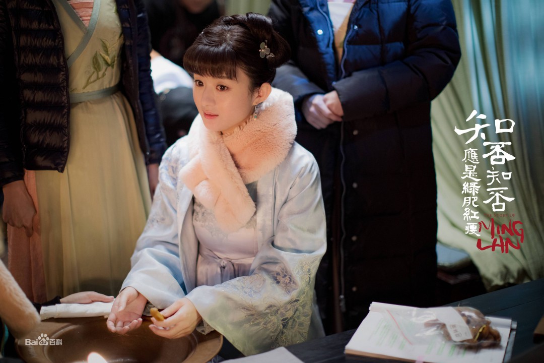 知否知否應(yīng)是綠肥紅瘦璀璨明星陣容深度解析,劇中演員一覽無(wú)余