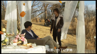 秘密花園演員表深度解析,角色與演員魅力揭秘