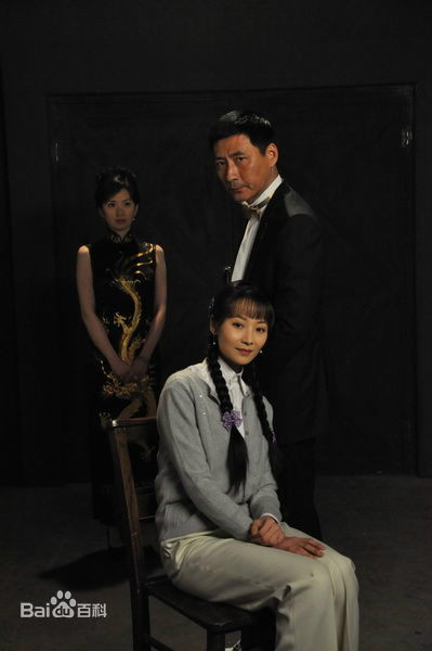 孤島飛鷹演員陣容,演技與角色的完美融合之旅