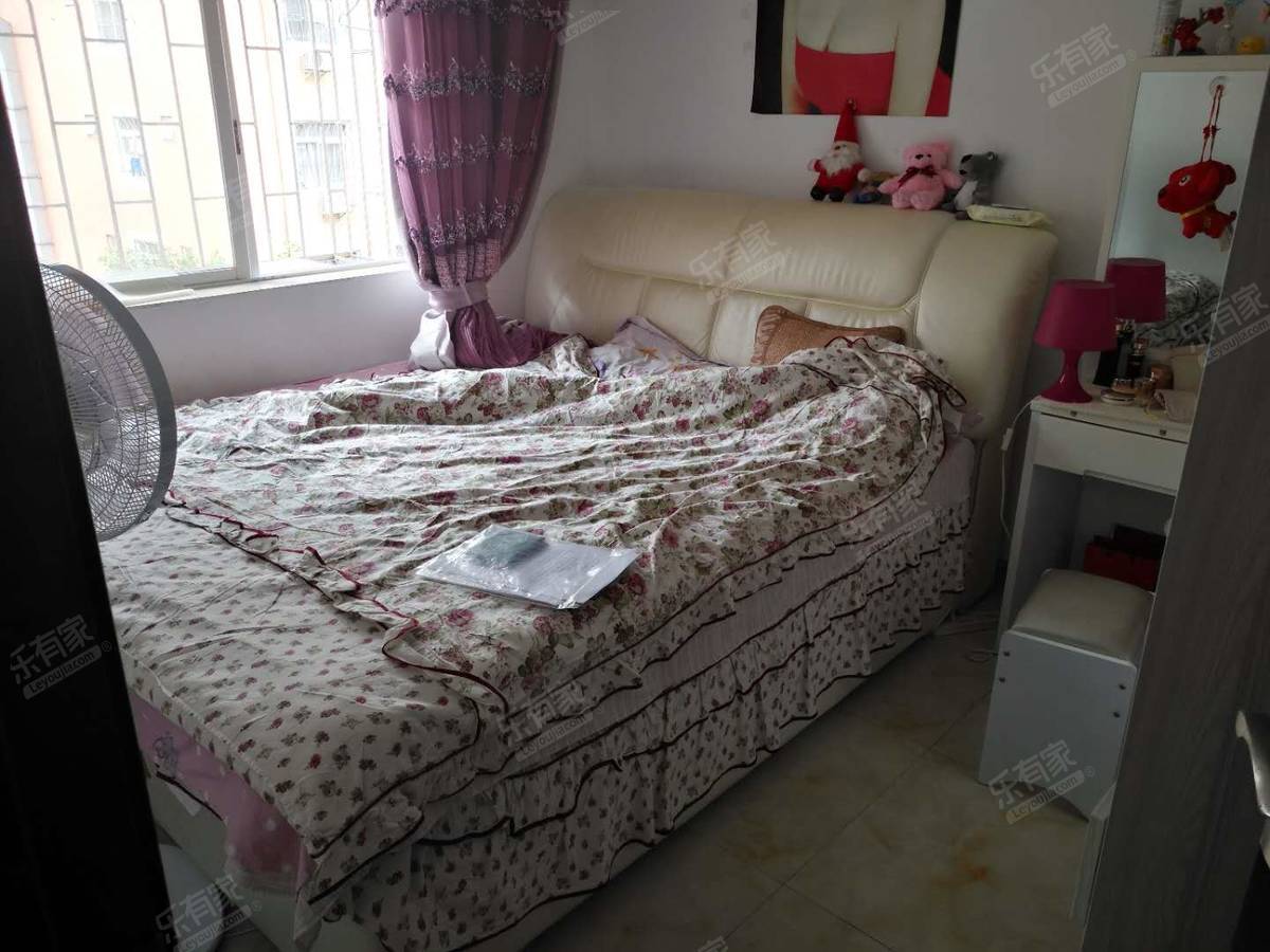 泰寧房產最新出售動態及觀點論述