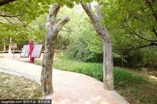 探索魅力白河縣的無限精彩資訊