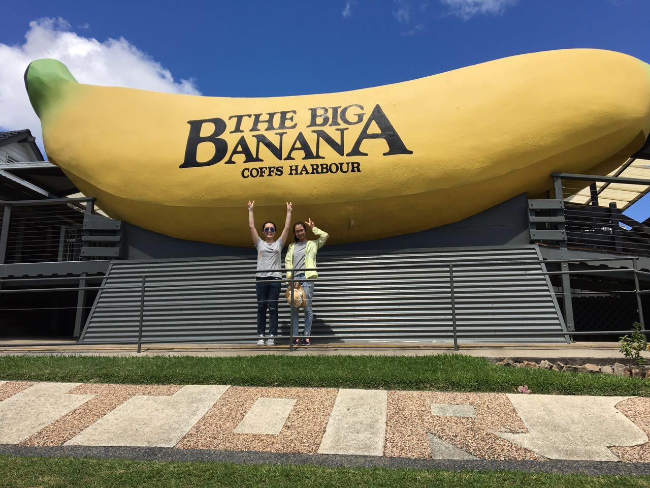 探秘香蕉與銀幕之間的奇緣,電影大香蕉的奇妙世界