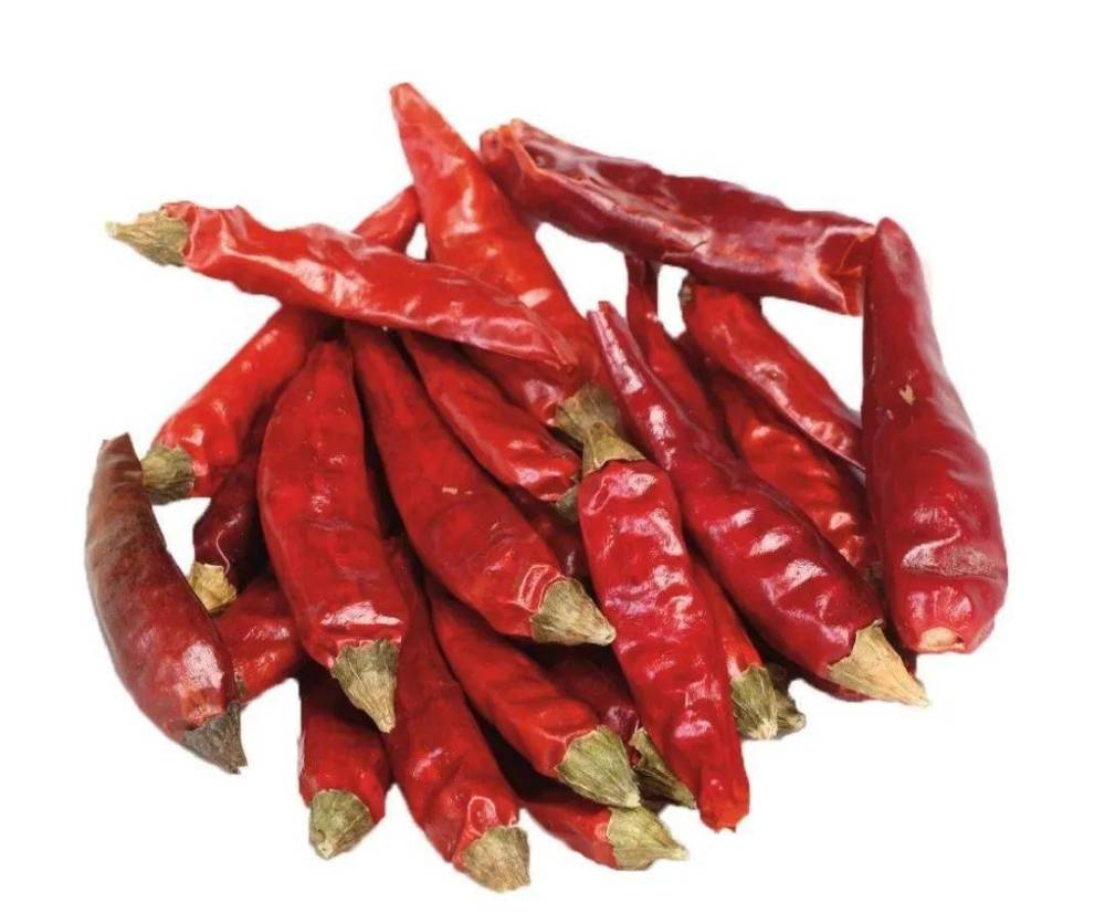 今日紅椒行情深度解析與預測