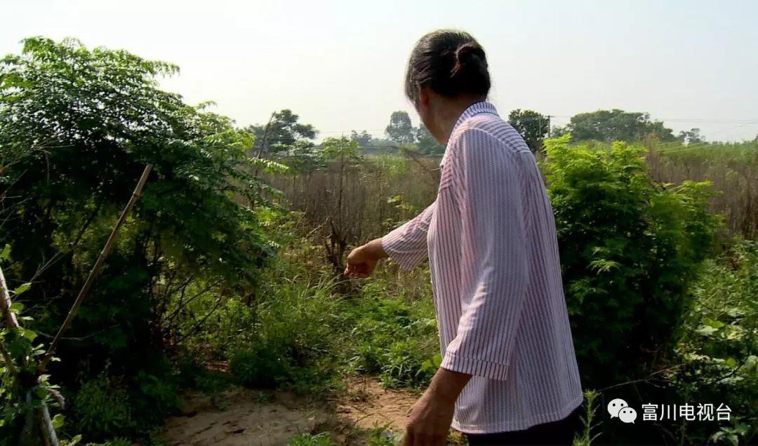 天嚕啦最新精選,天嚕啦最新精選,探索其在時代中的獨特地位