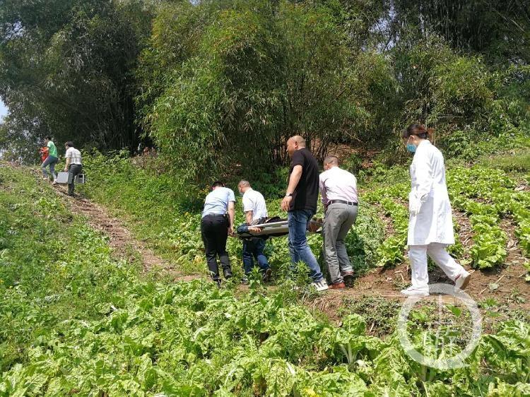 合川雙槐鎮最新規劃公布,科技引領未來,開啟生活新篇章