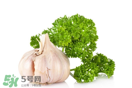 大蒜行情預測,大蒜行情預測