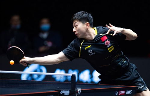 CCTV5乒乓球比賽直播,溫馨對決之夜燃起戰火
