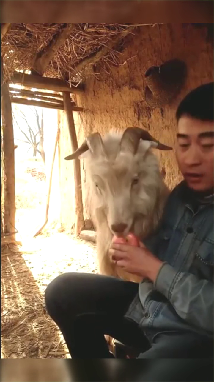 果哥系列最新高科技產(chǎn)品詳解