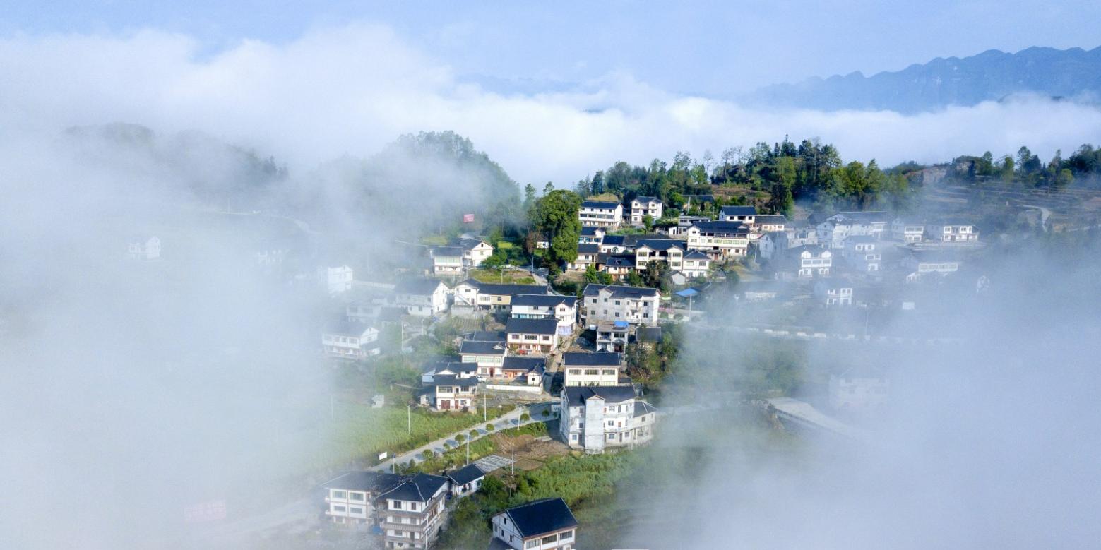 務(wù)川新聞速遞,小巷深處的獨(dú)特風(fēng)味,美食天堂揭秘!