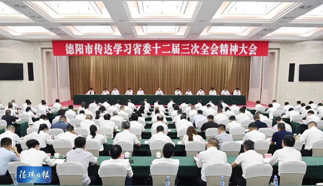 德陽新聞聚焦,巷弄深處的獨特小店最新資訊