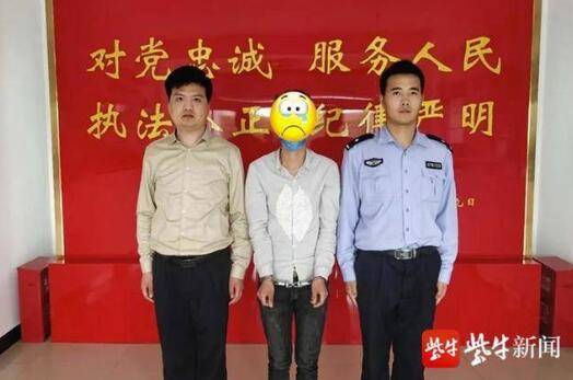 潛軌動態深度解析,優劣與影響探討