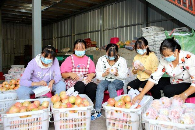 郵政銀行上市,機遇與挑戰并存