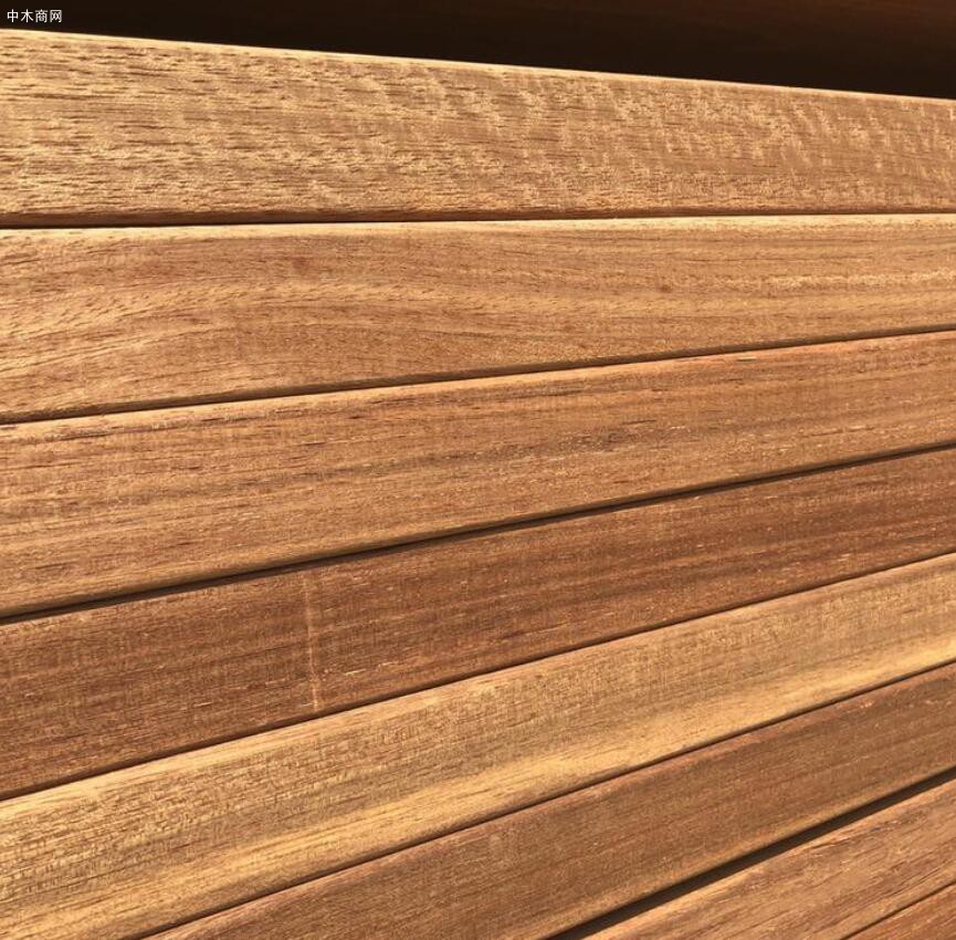 菠蘿格木材最新報價,開啟溫馨的木材之旅