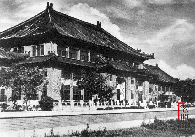 國民技術股票股吧,心靈與自然的奇妙交匯之旅