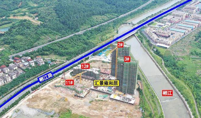 郴州最新復工情況分析,觀點闡述與解讀