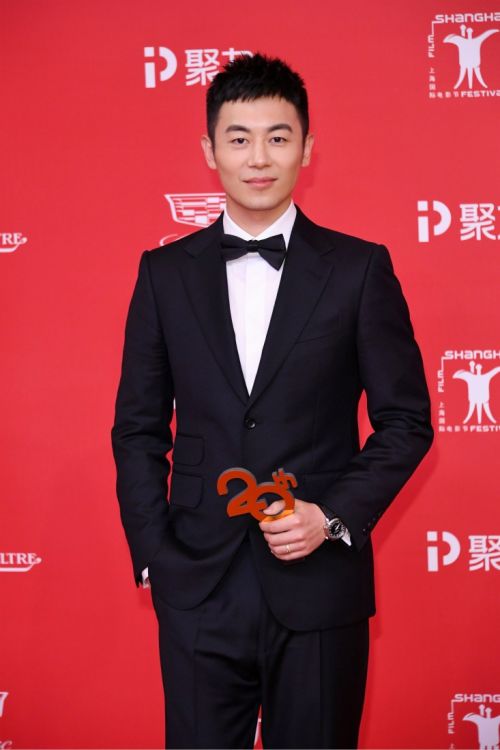 朱亞文,演技與魅力的多維展現,展現男性魅力典范