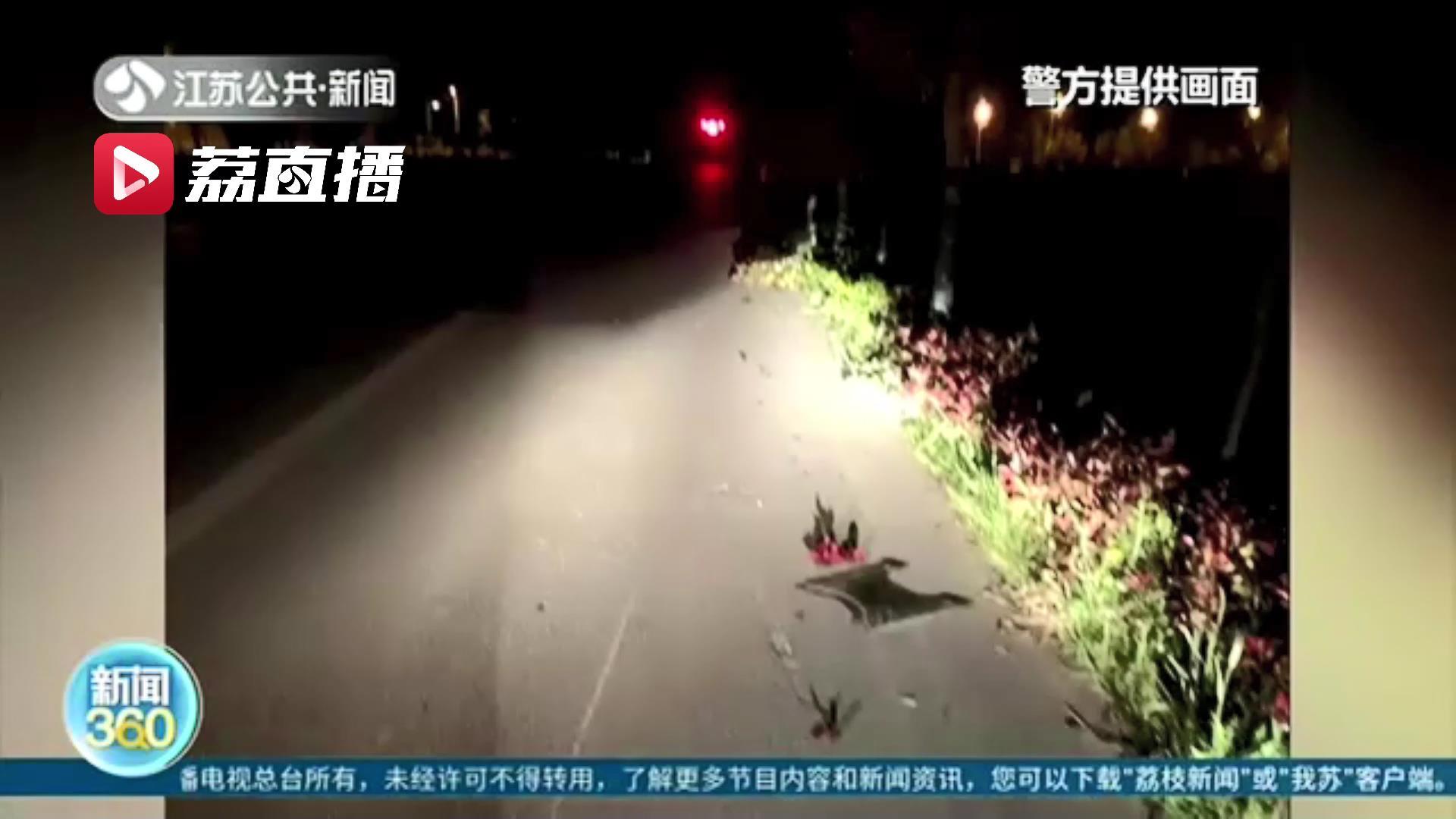 女子酒駕事件深度追蹤,反思與警示